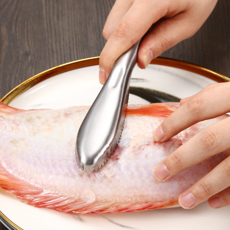 Stainless Steel Fish Scale Remover, Durable Fish Scaler Tool, Fish Scale Cleaning Scraper for Home Kitchen or Outdoor