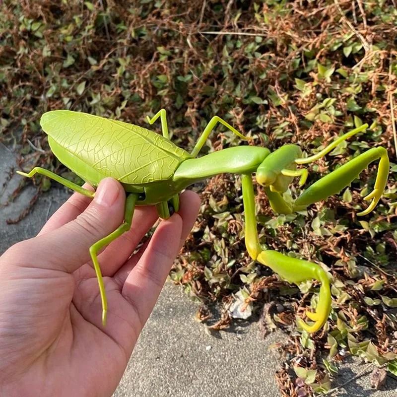 RC Animal Robot Insect Toy For Kids 2