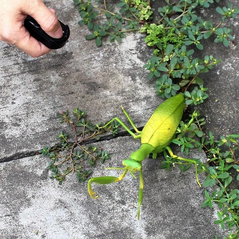 RC Animal Robot Insect Toy For Kids 4