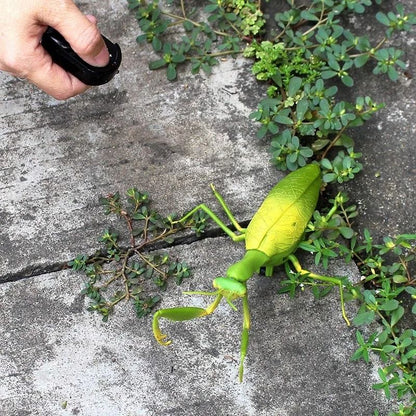 RC Animal Robot Insect Toy For Kids 4