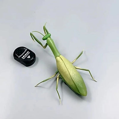 RC Animal Robot Insect Toy For Kids 5