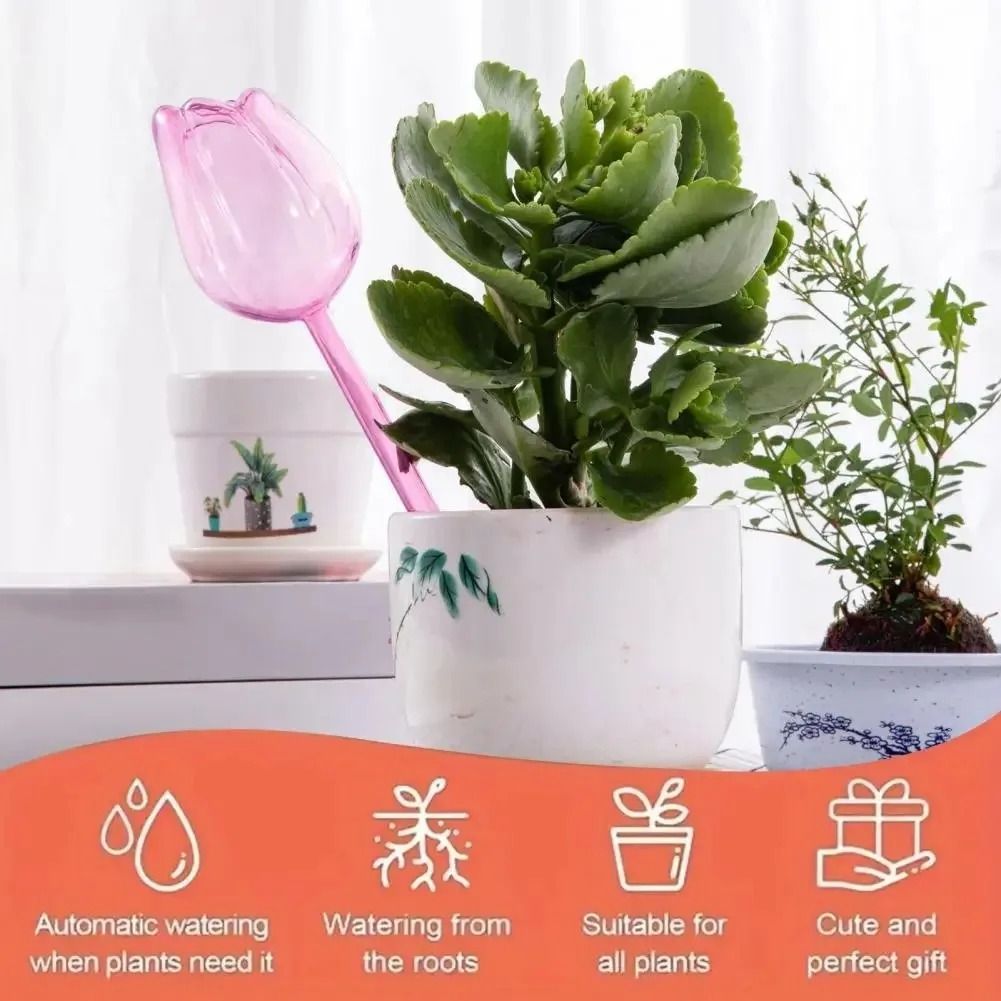 Tulip Style Self Watering Globes For Indoor And Outdoor Plants 6