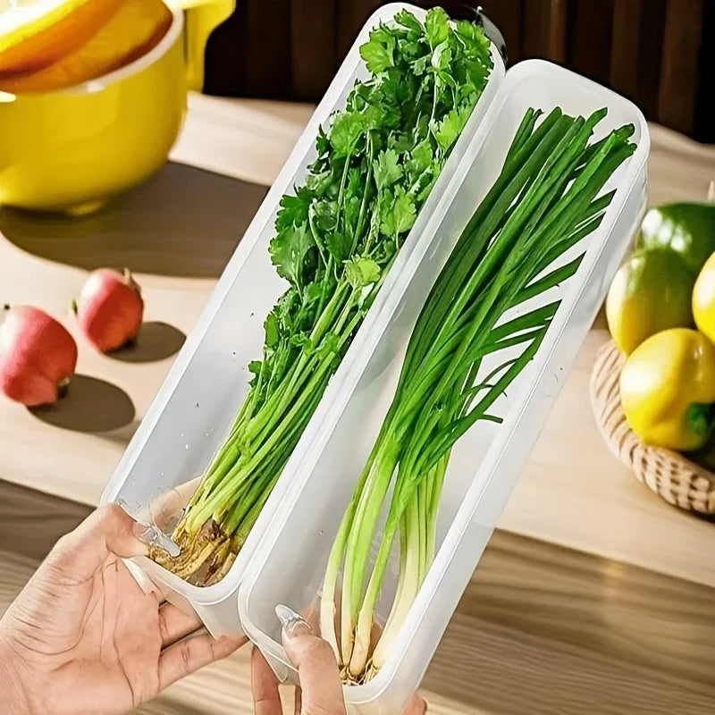 Transparent Sealed Storage Box, Small Food Preservation Boxes, Refrigerator Fresh Keeping Storage Box