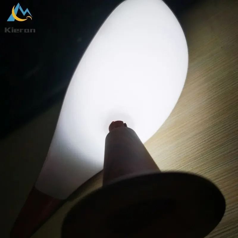 Nordic Modern Magpie LED Desk Lamp 5
