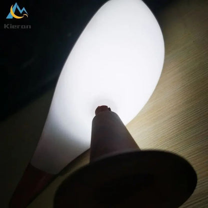 Nordic Modern Magpie LED Desk Lamp 5