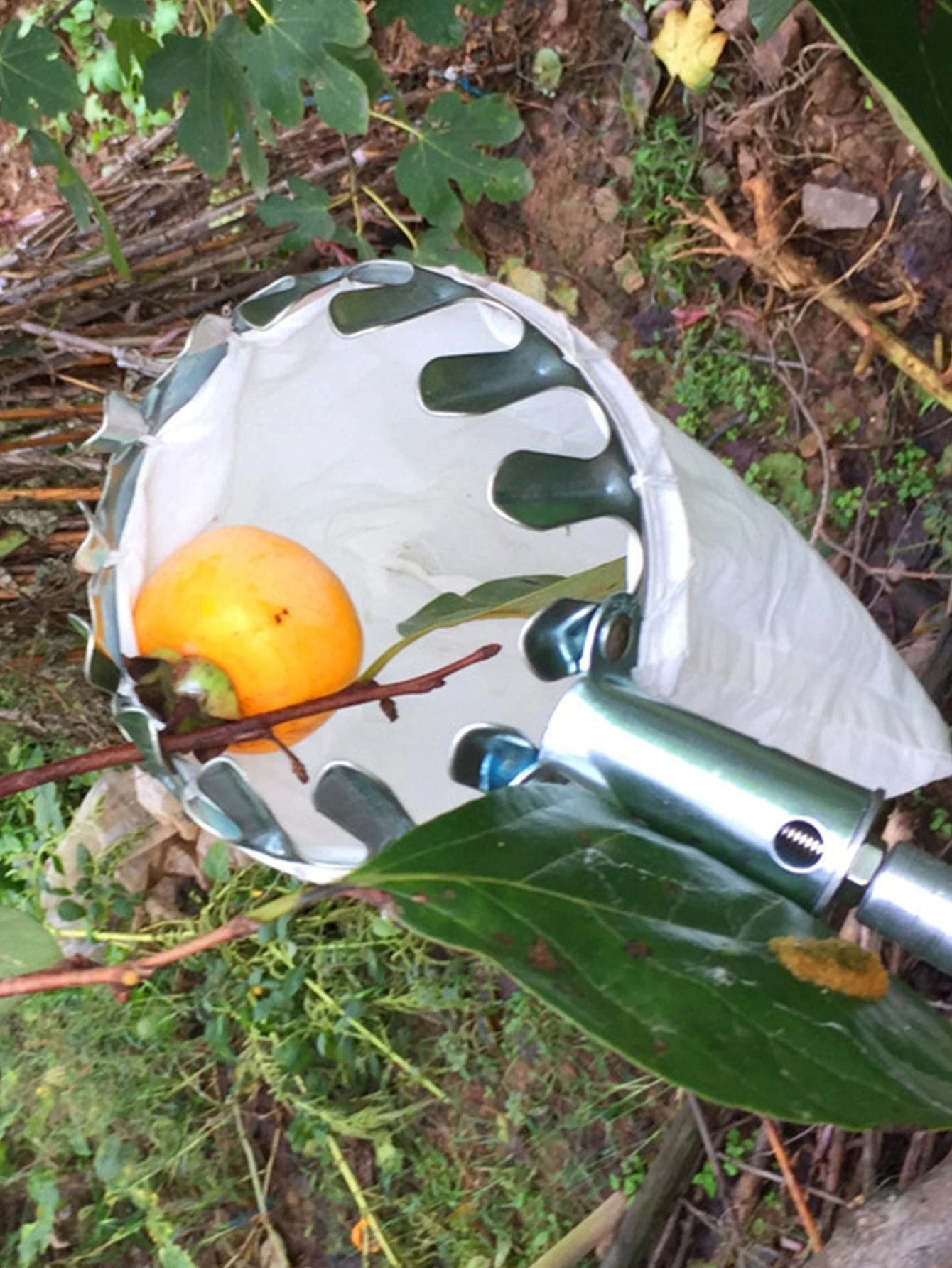 Fruit Picking Device For Easy Garden Harvesting 1