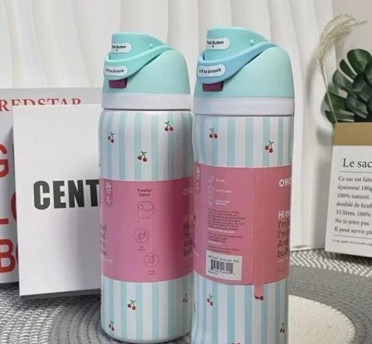 Double Wall Vacuum Fruit Infuser Water Bottle 24oz 32oz Leakproof Insulated Tumbler With Straw 11