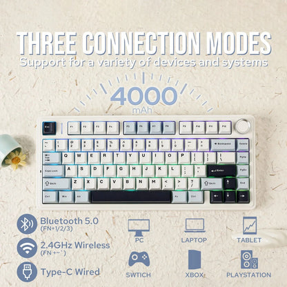 Compact Wireless RGB Keyboard with Gasket Structure and Knob Control