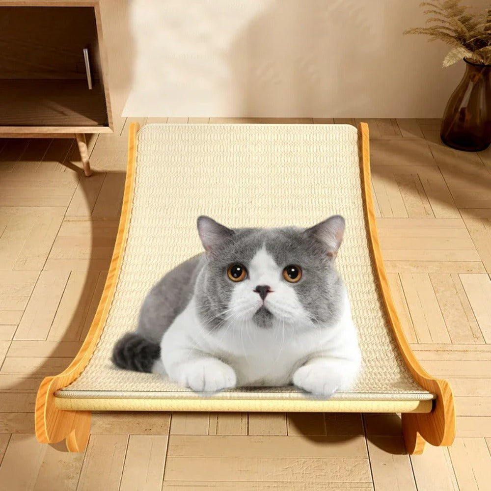 Cat Scratching Pads  Scratch Board Detachable WearResistant Multifunctional  Kitten Grinding Toy  S 2