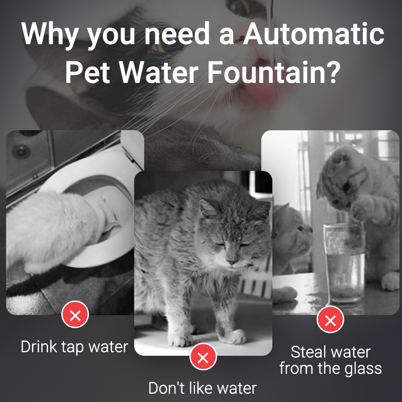 Pet Water Dispenser For Cats Dog Drinking Purifier Smart Cat Water Fountain Automatic Fountain With 5