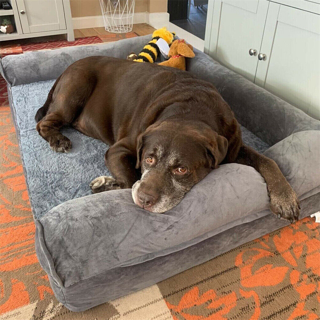 Extra Large Orthopedic Dog Bed with Removable Washable Cover, Soft Sponge Foam Pet Mattress for Big Dogs