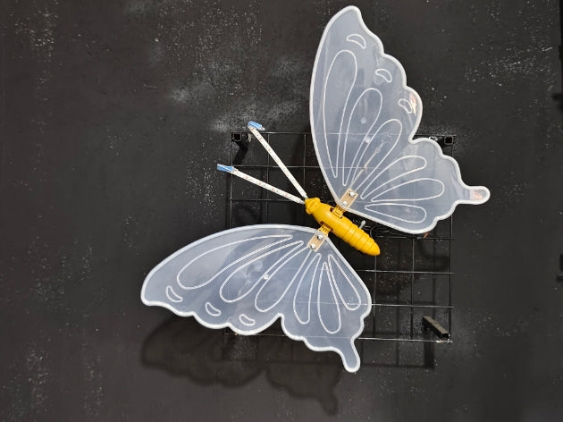 Selected Variant Image