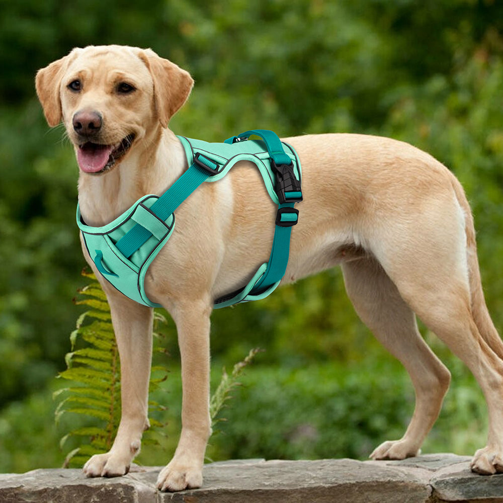 Mesh Breathable Dog Harness, Nylon Reflective Pet Training Vest, Adjustable, Durable for Small, Medium, Large Dogs
