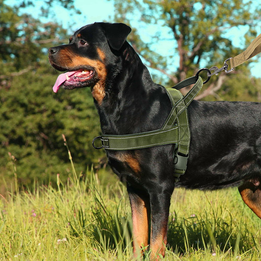 Reflective No Pull Nylon Dog Harness, Adjustable Pet Walking, Training Vest for Medium, Large Dogs