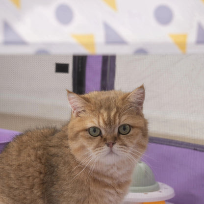 Foldable Mesh Pet Playpen Indoor Outdoor Cat And Dog Tent 4