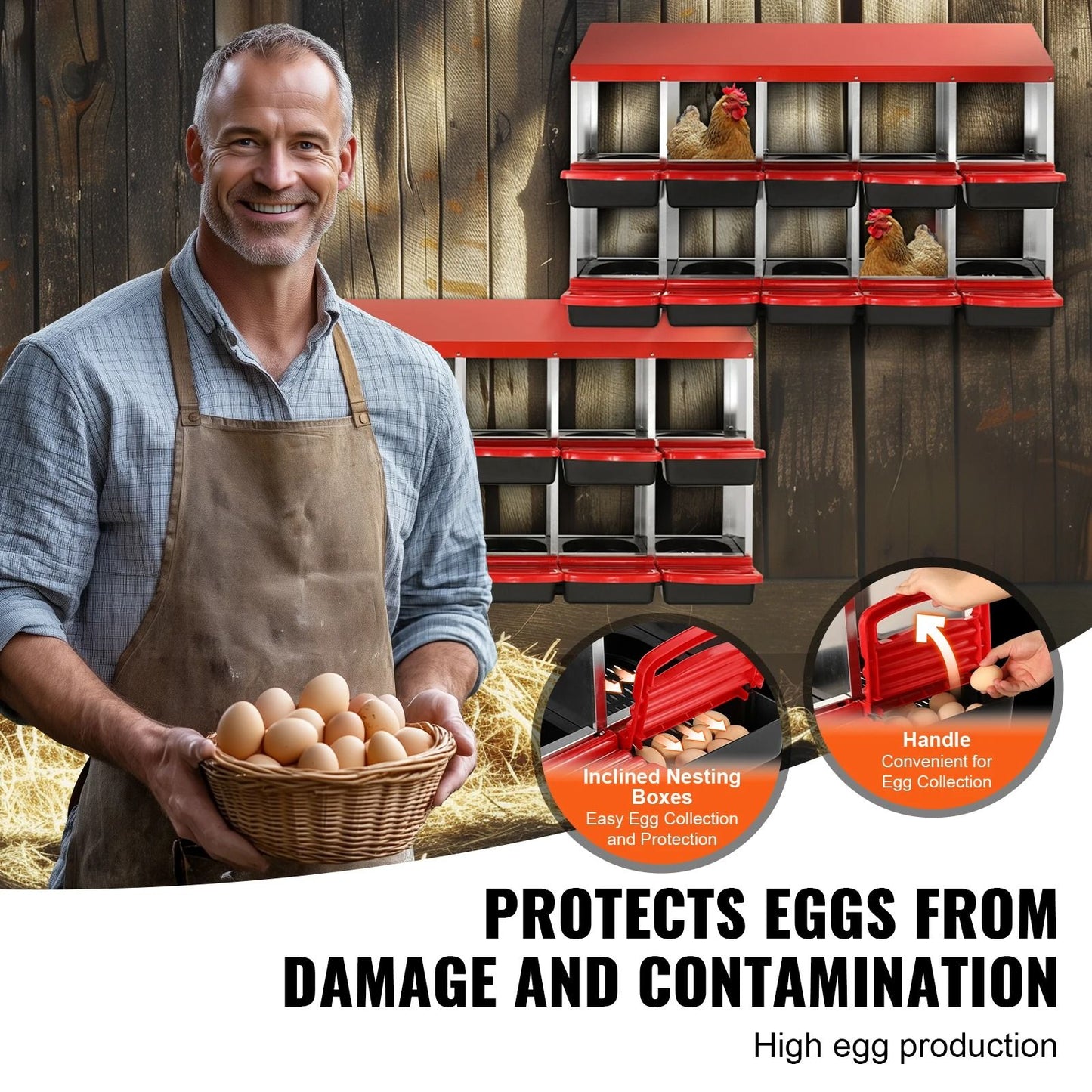 Large Capacity Metal Chicken Nesting Boxes With Removable Trays And EasyClean Design 3