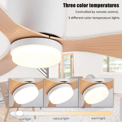 Modern LED Ceiling Fan With Light Silent DC Motor Speed Electric Fan  Remote Nordic Flush Mount Cei 5