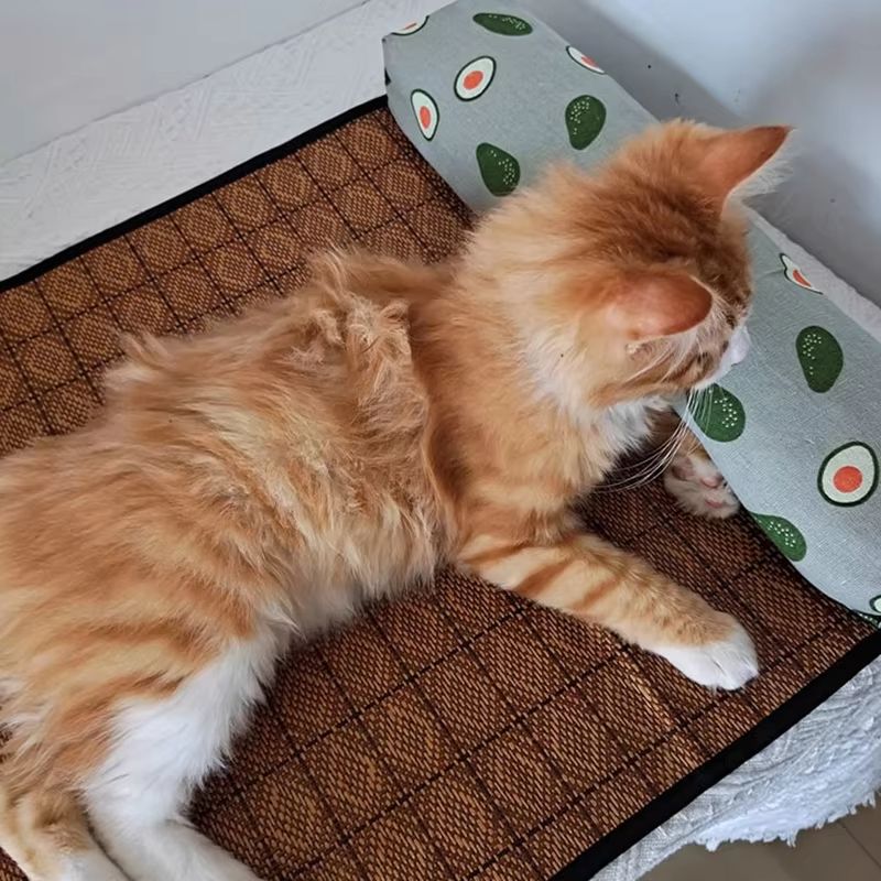 Natural Rattan Cooling Mat For Cats And Dogs  Breathable Summer Pet Bed Pad 4