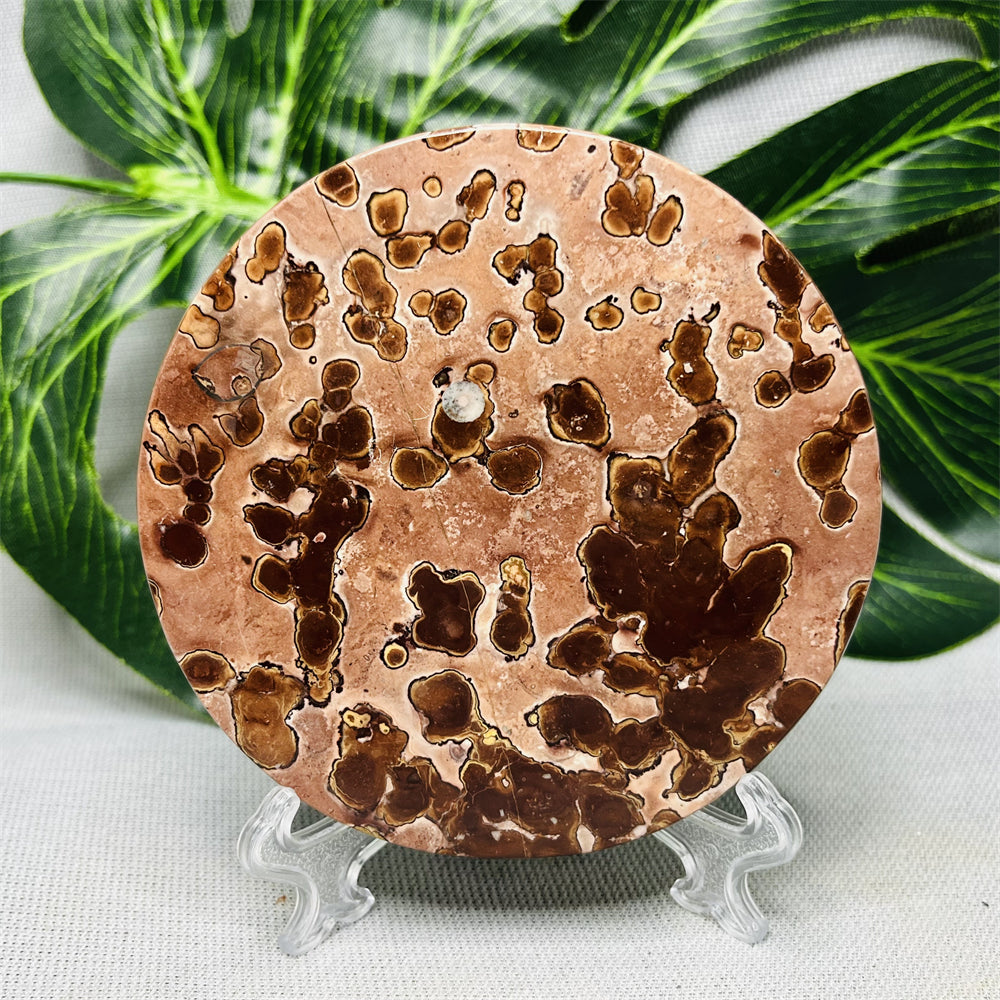 Hand Polished Natural Rock Picture Stone Round Coasters Abstract Spiritual Healing Witchcraft Decor 1