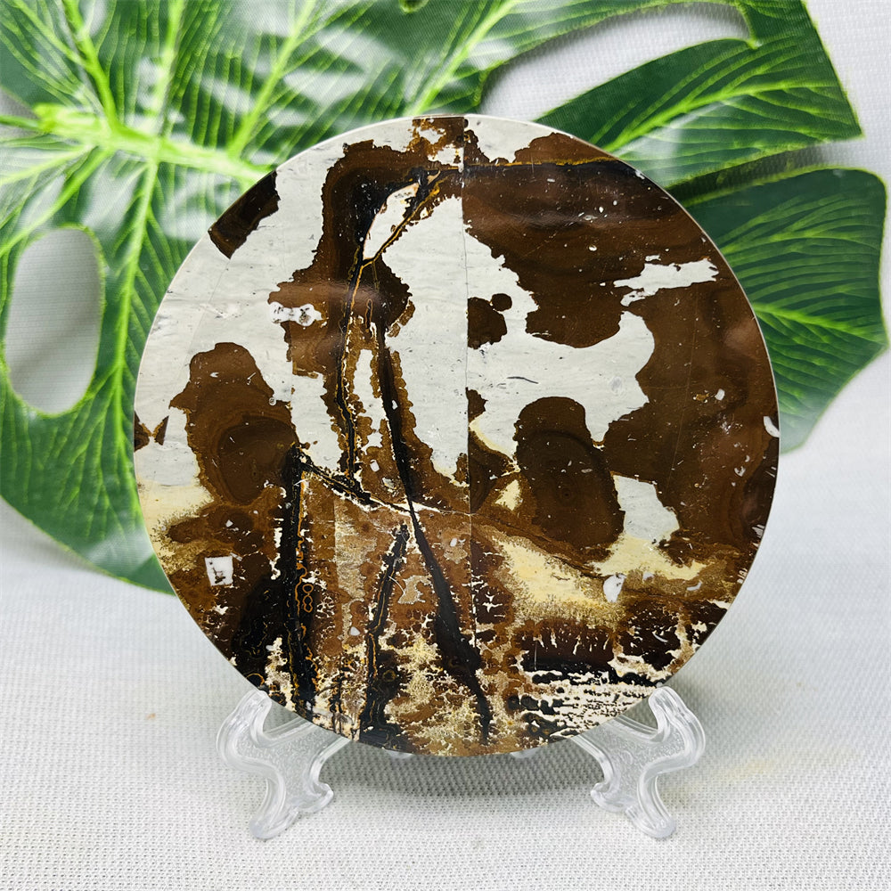 Hand Polished Natural Rock Picture Stone Round Coasters, Abstract Spiritual Healing Witchcraft Decor, Holiday & Home