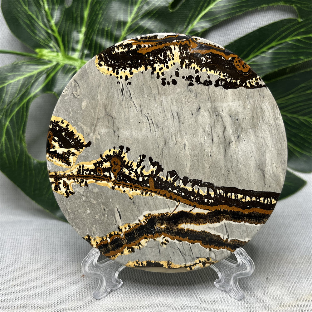 Hand Polished Natural Rock Picture Stone Round Coasters, Abstract Spiritual Healing Witchcraft Decor, Holiday & Home