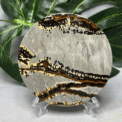 Hand Polished Natural Rock Picture Stone Round Coasters, Abstract Spiritual Healing Witchcraft Decor, Holiday & Home
