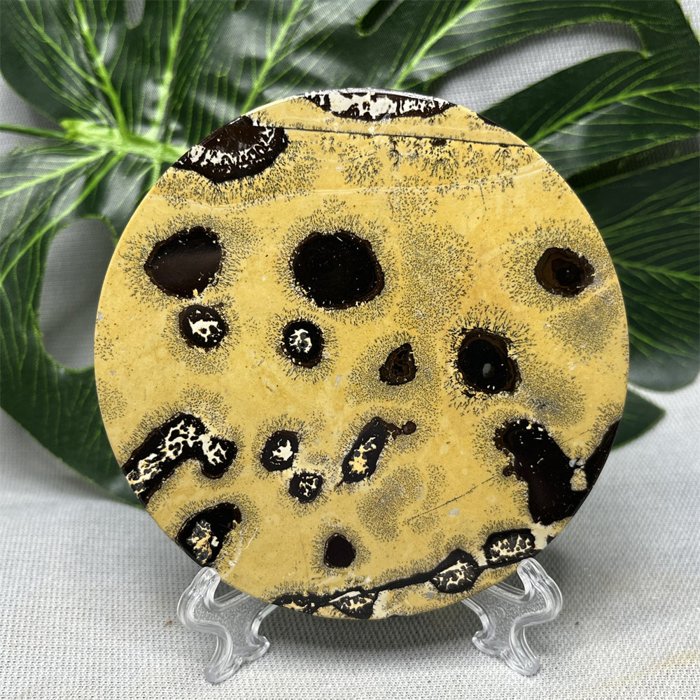 Hand Polished Natural Rock Picture Stone Round Coasters, Abstract Spiritual Healing Witchcraft Decor, Holiday & Home