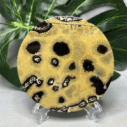 Hand Polished Natural Rock Picture Stone Round Coasters, Abstract Spiritual Healing Witchcraft Decor, Holiday & Home
