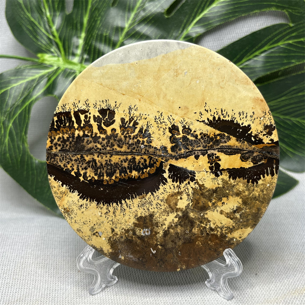 Hand Polished Natural Rock Picture Stone Round Coasters, Abstract Spiritual Healing Witchcraft Decor, Holiday & Home