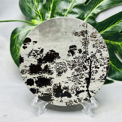 Hand Polished Natural Rock Picture Stone Round Coasters, Abstract Spiritual Healing Witchcraft Decor, Holiday & Home