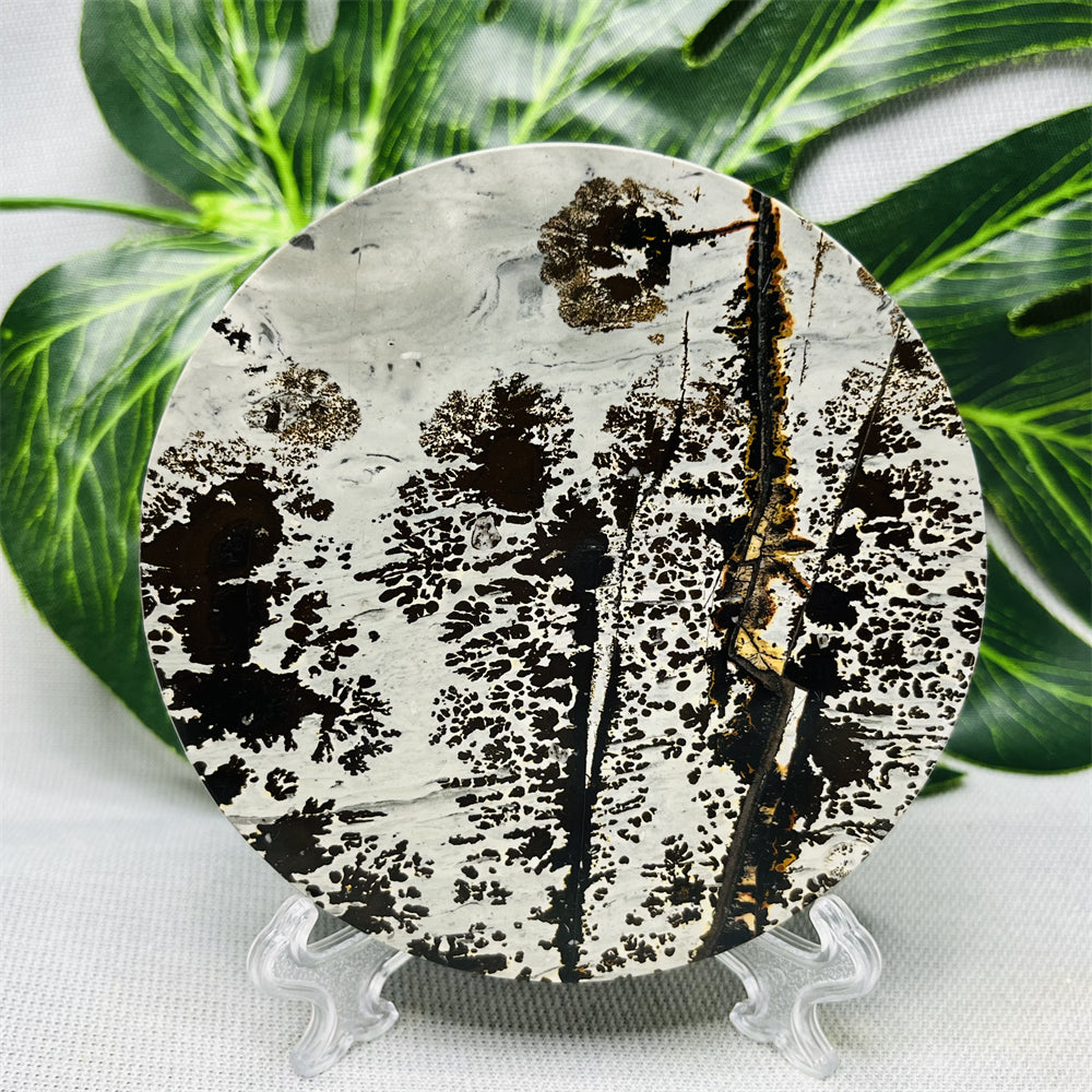 Hand Polished Natural Rock Picture Stone Round Coasters, Abstract Spiritual Healing Witchcraft Decor, Holiday & Home
