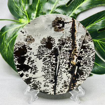 Hand Polished Natural Rock Picture Stone Round Coasters, Abstract Spiritual Healing Witchcraft Decor, Holiday & Home
