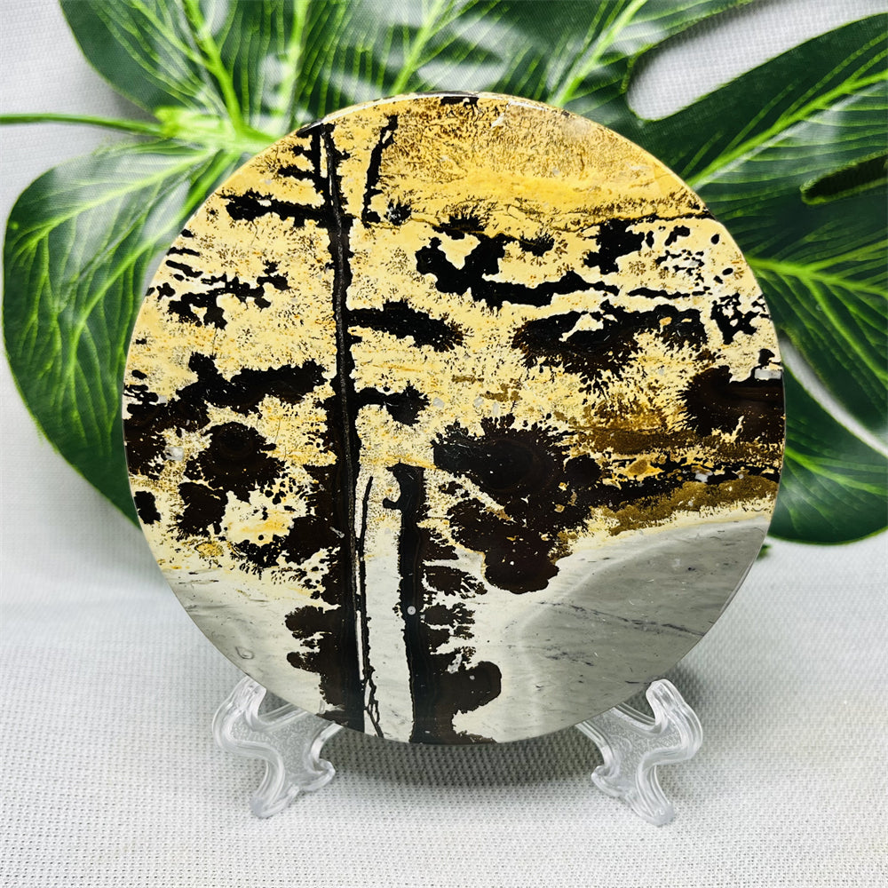 Hand Polished Natural Rock Picture Stone Round Coasters, Abstract Spiritual Healing Witchcraft Decor, Holiday & Home