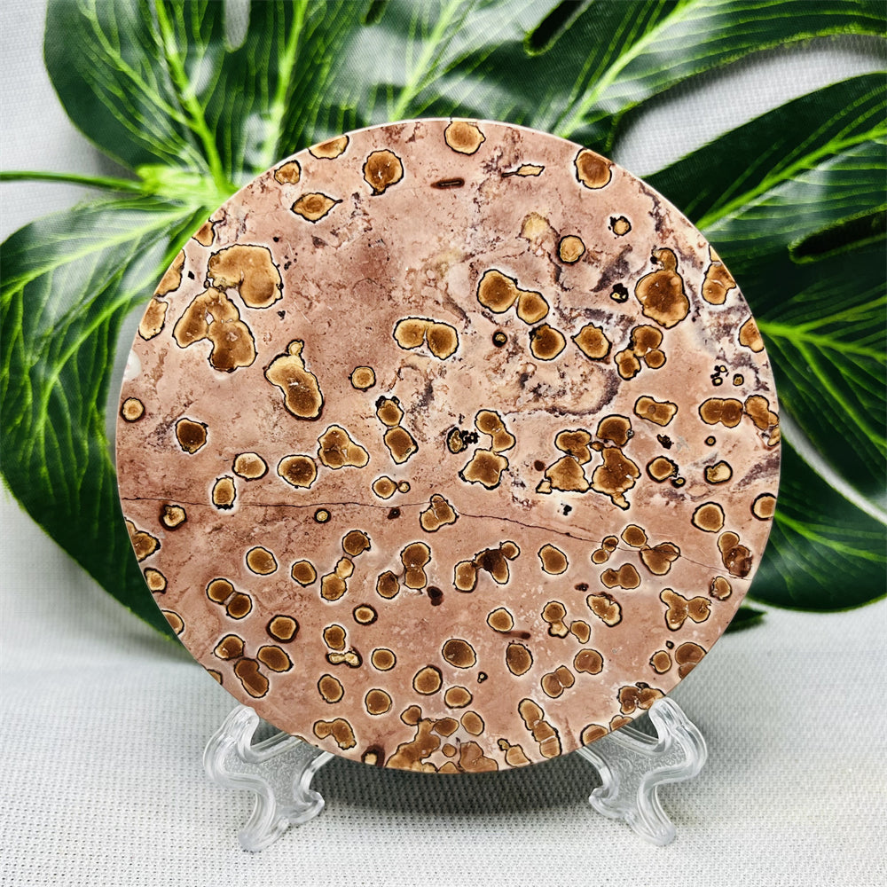 Hand Polished Natural Rock Picture Stone Round Coasters, Abstract Spiritual Healing Witchcraft Decor, Holiday & Home