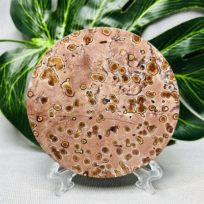 Hand Polished Natural Rock Picture Stone Round Coasters, Abstract Spiritual Healing Witchcraft Decor, Holiday & Home