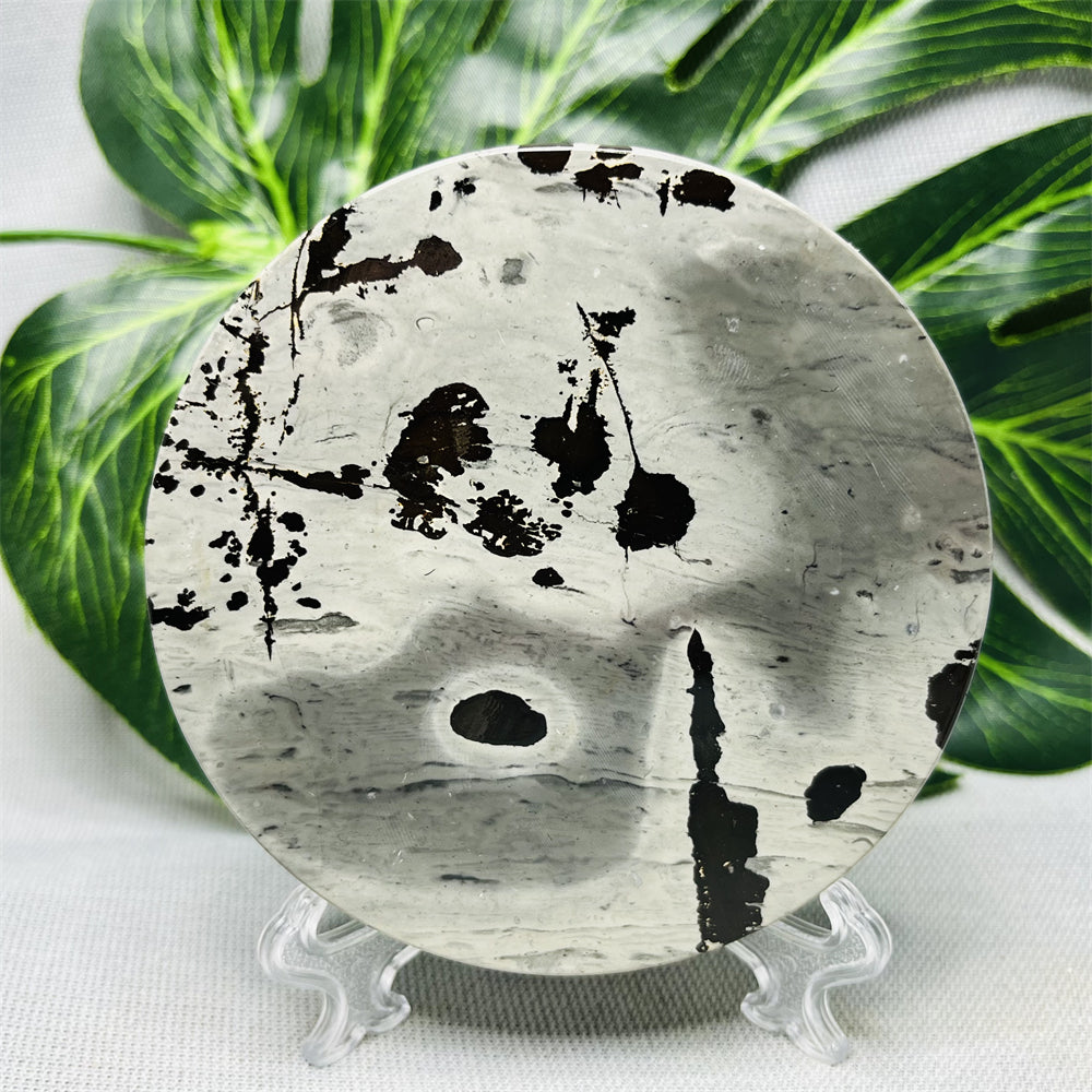 Hand Polished Natural Rock Picture Stone Round Coasters, Abstract Spiritual Healing Witchcraft Decor, Holiday & Home