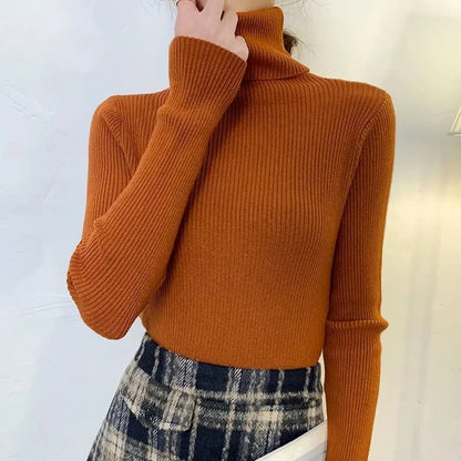 Women Fall Turtleneck Sweater Knitted Soft Pullover Cashmere Jumper 19
