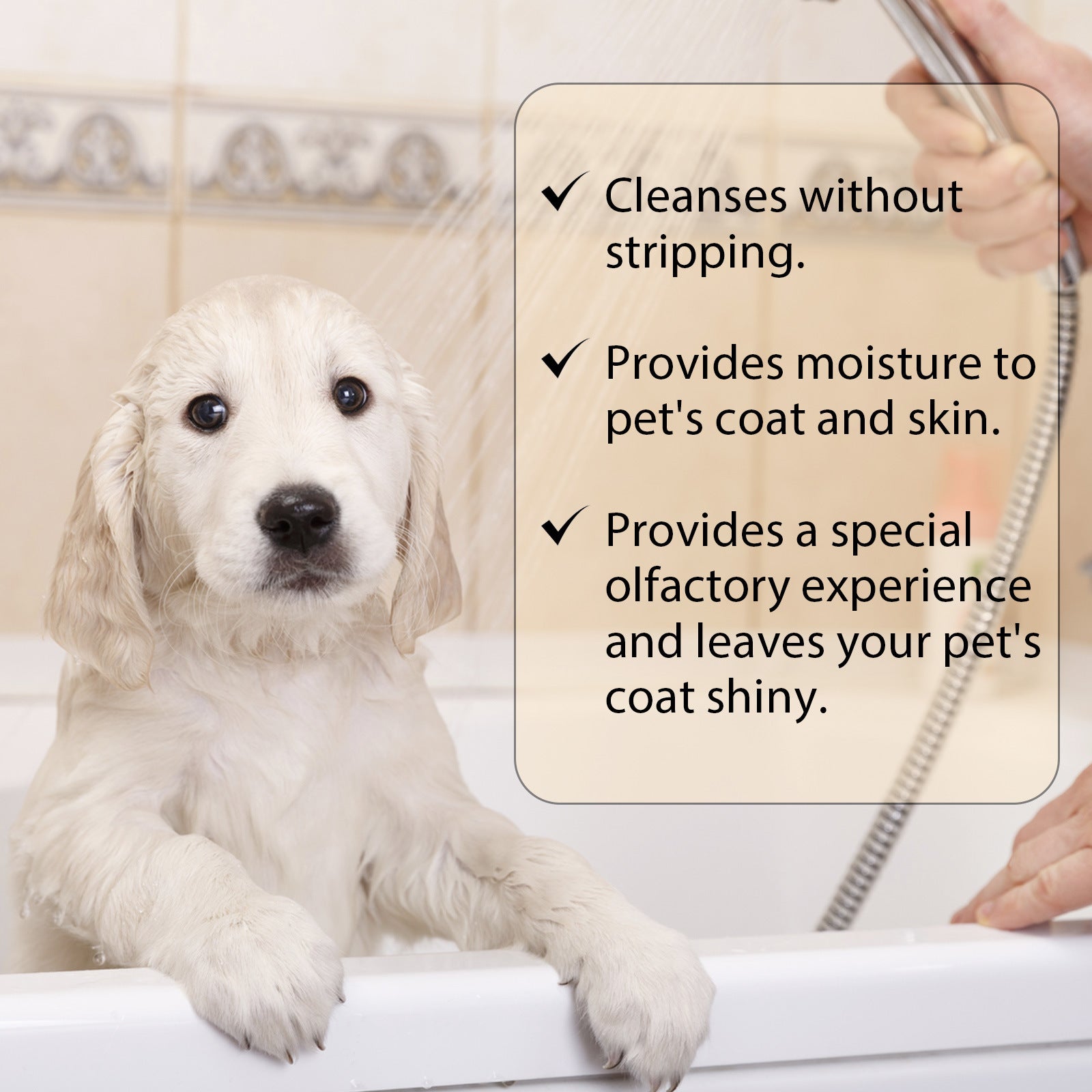 Soft And TangleFree Shampoo For Cats And Dogs Gentle And Clean Pet Shampoo Organic Pet Coat Care 3