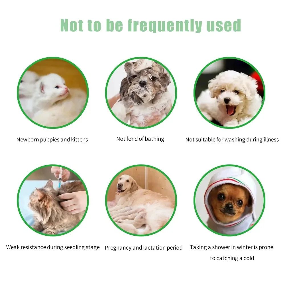 Cat Shampoo Dog Dry Cleaning Supplies Pet Wash Free Shower Gel Dry Itchy Skin Relief 4
