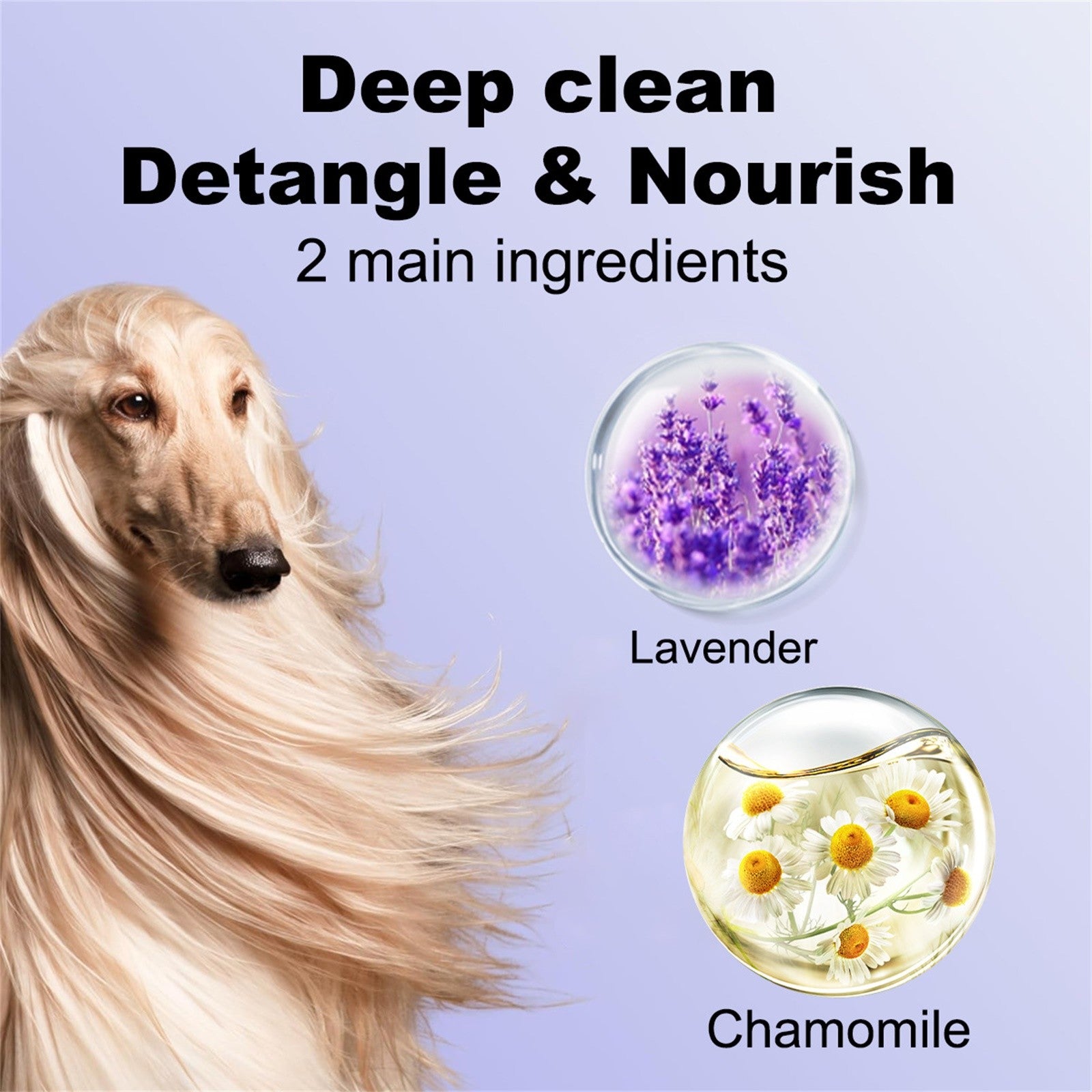 Dog Shampoo 4 In 1 Lavender Chamomile Pet Wash Cleanses Conditions Smoothes Moisturizes Gentle Pet  1