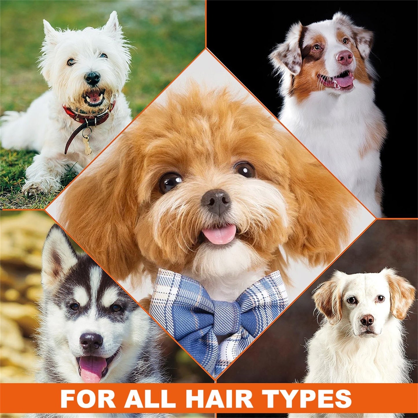 Dog Shampoo 4 In 1 Lavender Chamomile Pet Wash Cleanses Conditions Smoothes Moisturizes Gentle Pet  5