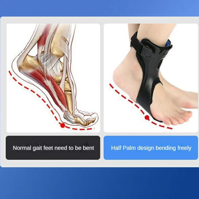 Drop Foot Brace Orthosis AFO Support Adjustable Ankle Brace For Hemiplegia  Stroke Recovery AFOs Fo