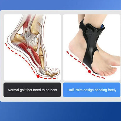 Drop Foot Brace Orthosis AFO Support Adjustable Ankle Brace For Hemiplegia  Stroke Recovery AFOs Fo