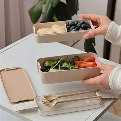 Cute Kids Bento Box Containers, Leakproof Lunch for Kids with Chopsticks, Dishwasher Safe, Microwave Lunch Box