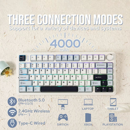 EPOMAKER X AULA F75 Wireless Mechanical Keyboard  75 HotSwap Gasket Mount With PBT Keycaps For Mac