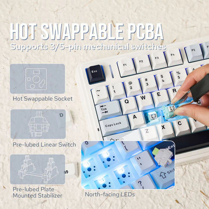 EPOMAKER X AULA F75 Wireless Mechanical Keyboard  75 HotSwap Gasket Mount With PBT Keycaps For Mac