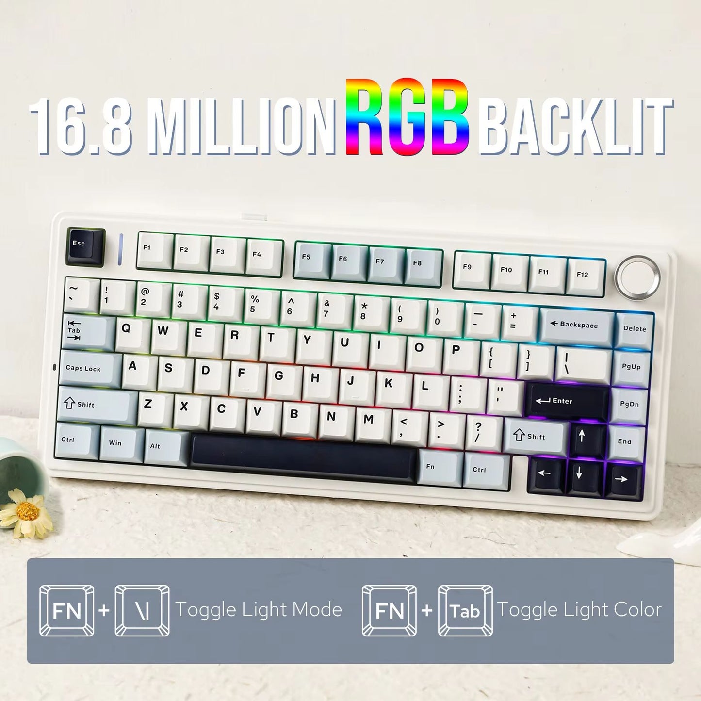 EPOMAKER X AULA F75 Wireless Mechanical Keyboard  75 HotSwap Gasket Mount With PBT Keycaps For Mac