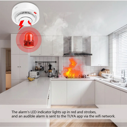 Smart WiFi Smoke Detector Tuya App Remote Monitoring Comprehensive Detection Works With Alexa Googl 3