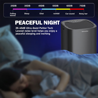 Portable Air Dehumidifier, Mute Mini Moisture Absorber, Air Dryer Machine for Home, Bedroom Office, Kitchen with US Plug