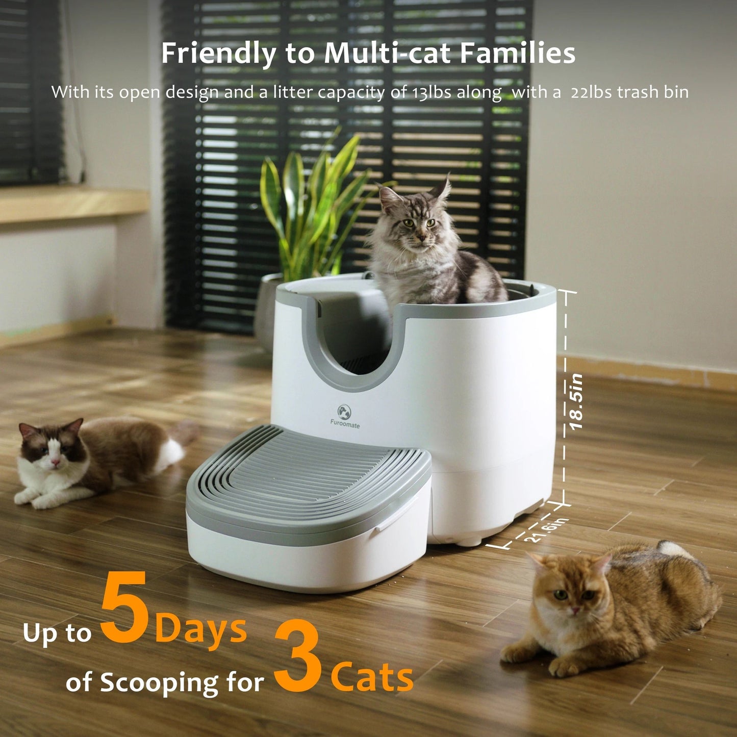 Self Cleaning Open Top Cat Litter Box With Safety Sensors Extra Large Capacity 1